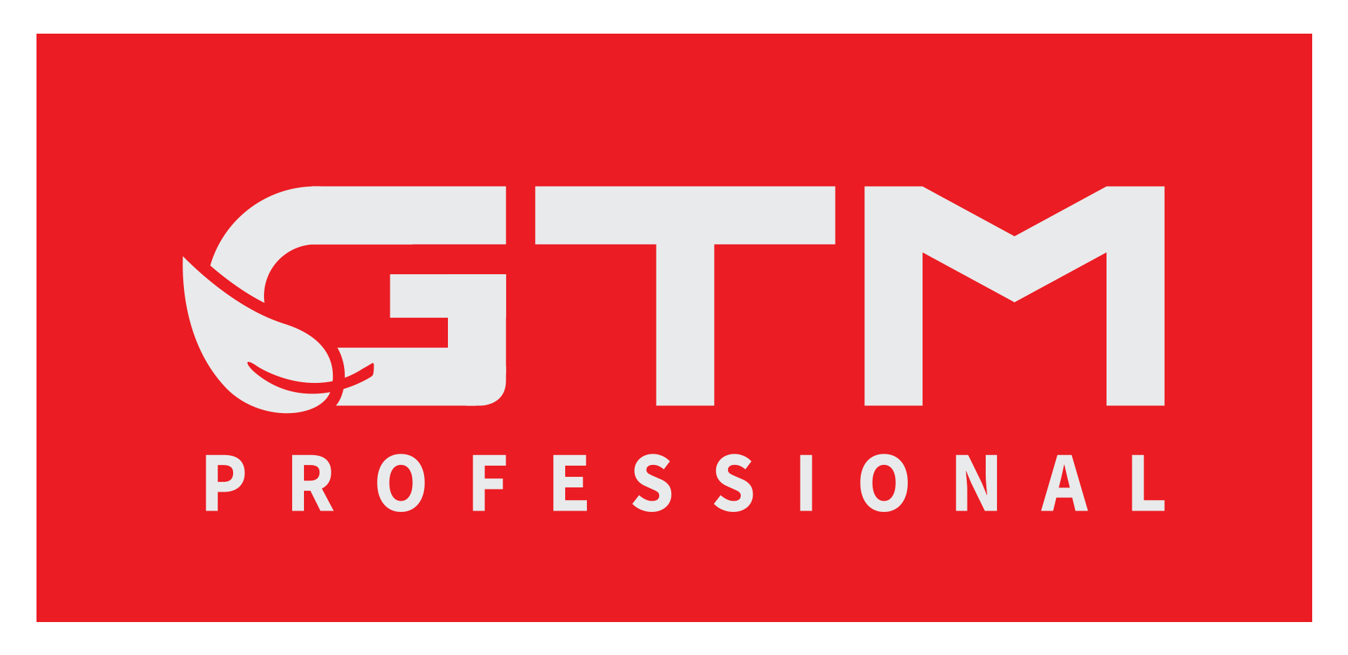 Logo GTM Professional Nuevo 2022